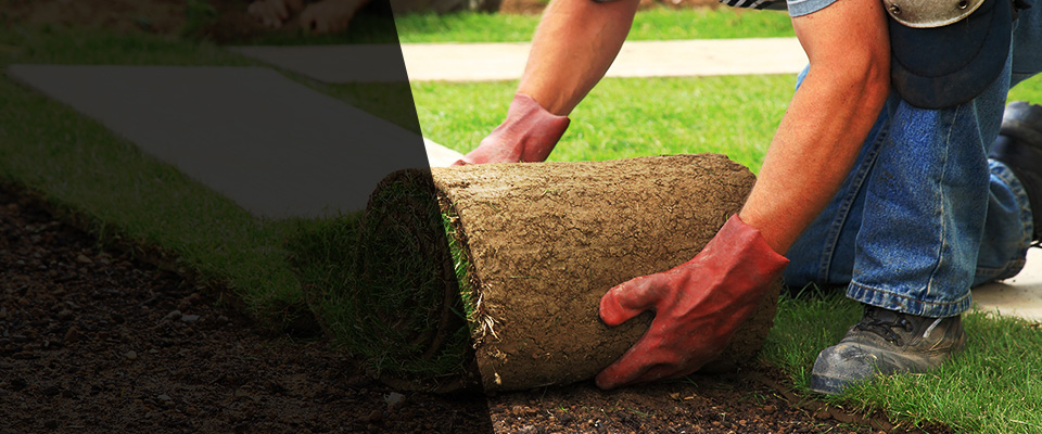 Sour Lake Landscapers